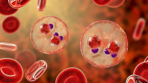 Application of SEC-MALS-QELS in the Development of Recombinant Protein-Based Malaria Vaccines