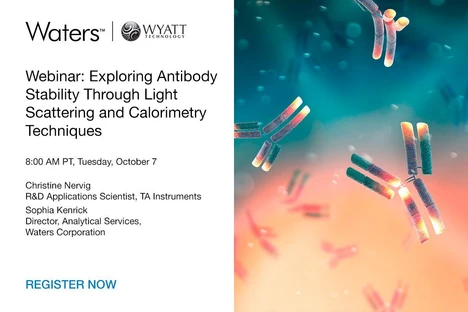 Exploring Antibody Stability Through Light Scattering and Calorimetry Techniques