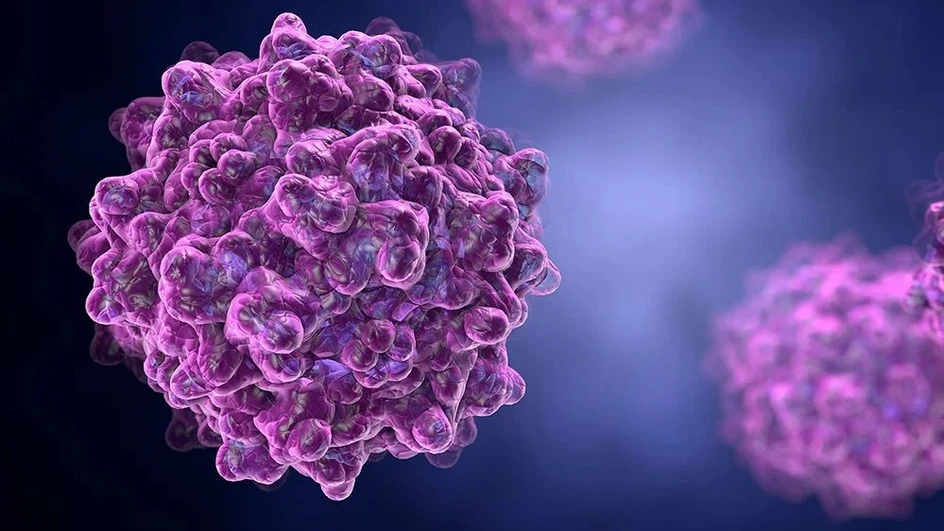 Waters: Robust and high-resolution characterization of viral vector quality from development to release with light scattering techniques