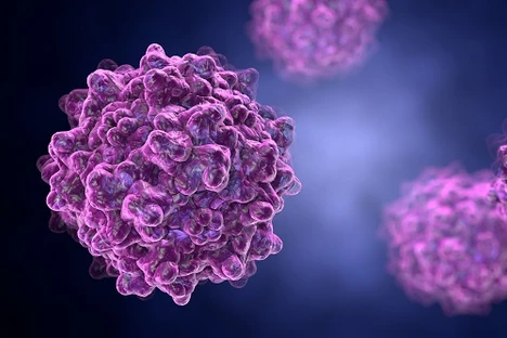 Smaller Particle and Low Adsorption Columns for Fast and Efficient Characterization of AAV through SEC-MALS
