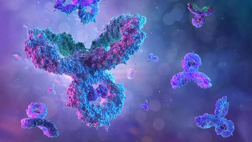 Towards Well-Characterized Proteins and Protein Conjugates Using SEC-MALS