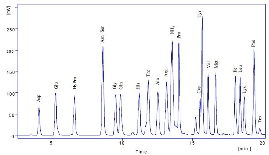 Watrex: HPLC separace aminokyselin AQC - AA-standard