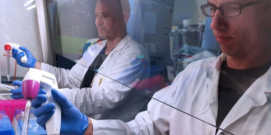 Jak zlepšit léčbu rakoviny? V Ostravě vymýšlejí, jak ji zlevnit a ušít lidem na míru