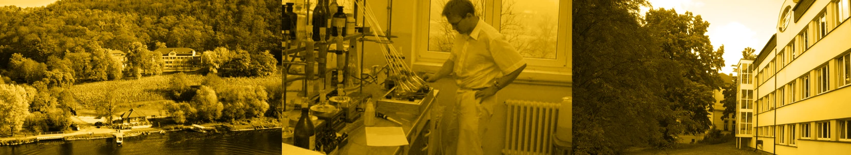 VÝZKUMNÝ ÚSTAV VČELAŘSKÝ