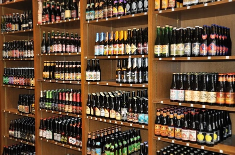 Studium jednoduchých polyfenolových látek v pivech různé provenience