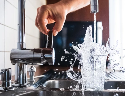 Stanovení organických kyselin a anorganických aniontů iontovou chromatografií s hmotnostní detekcí IC-MS