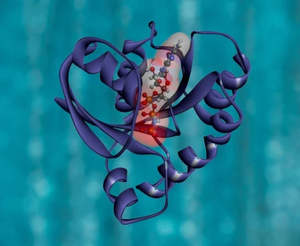 Accelerating Large-scale Proteomics with High-throughput Accurate Mass Spectrometry Workflows