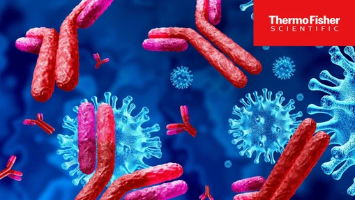 Supporting Efficient mAb Development with a Flexible Downstream Purification Toolkit